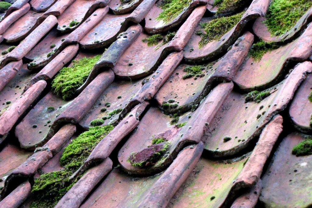 When to Replace Your Roof