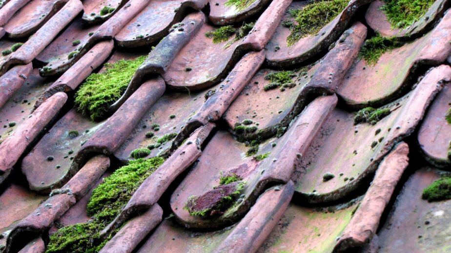 When to Replace Your Roof