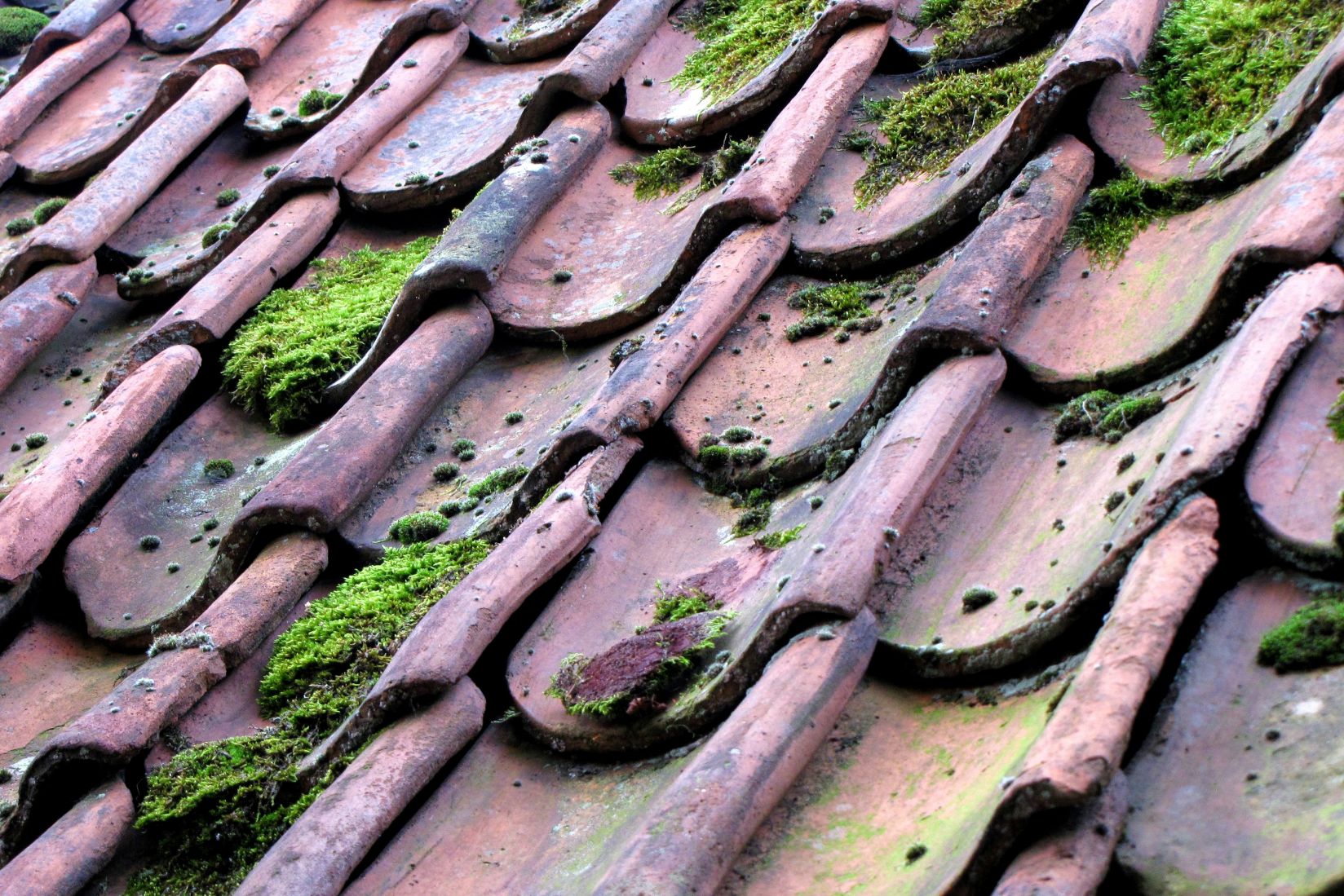 When to Replace Your Roof